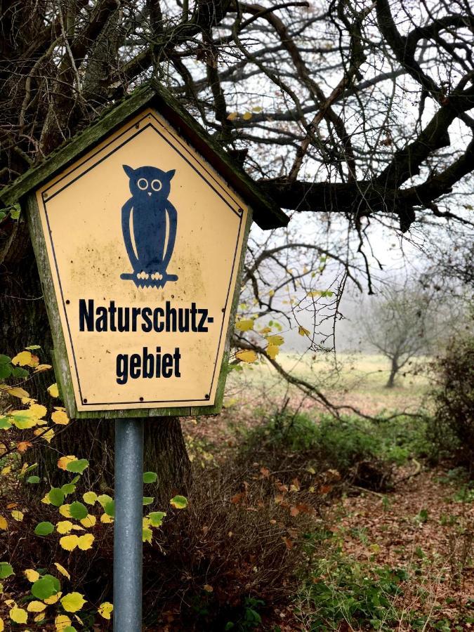 Hotel Zwischen Den Seen Waren  Exteriör bild